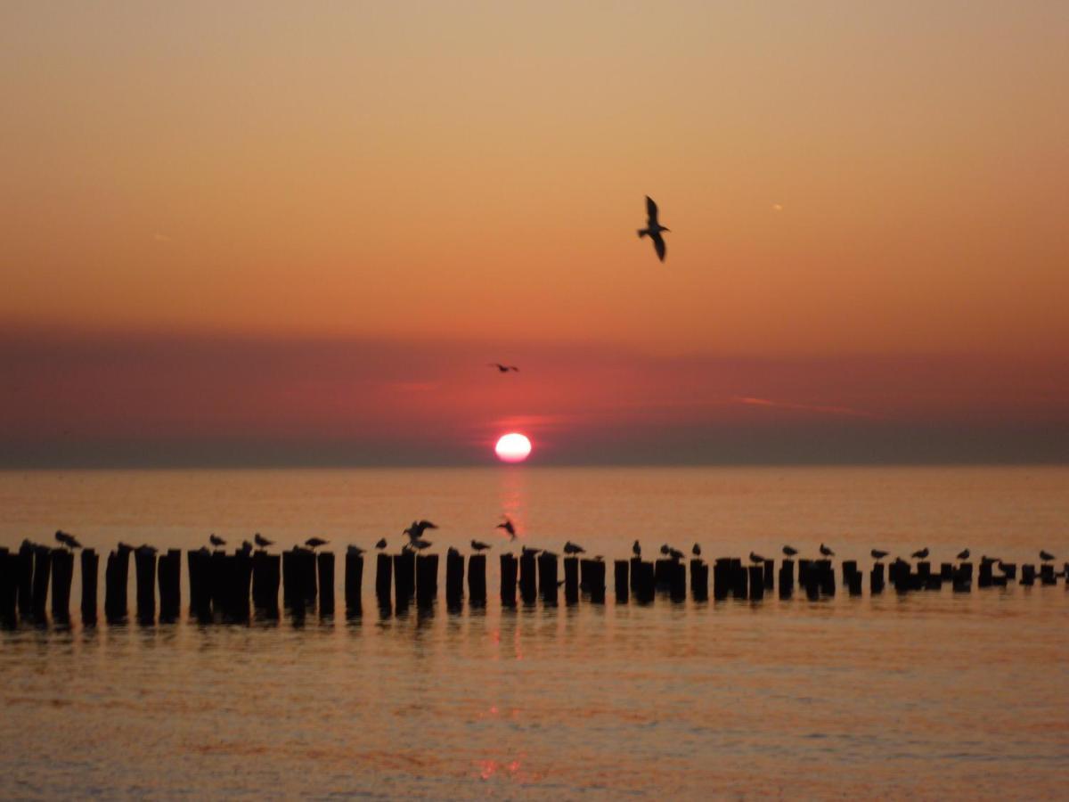 Vakantiehuis Domburg Do08 Met Sauna! 외부 사진